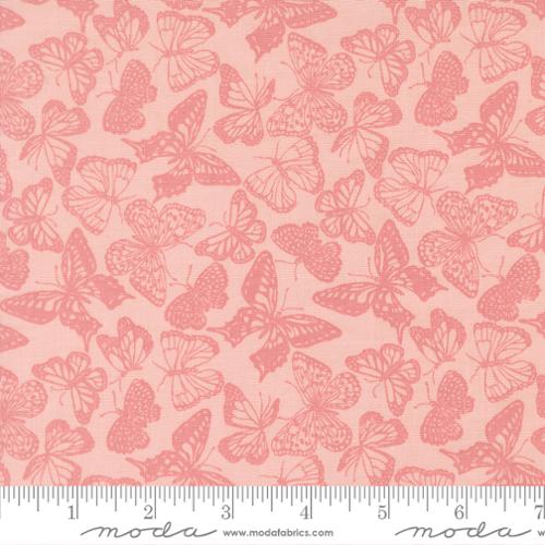 My Secret Garden - Petal
