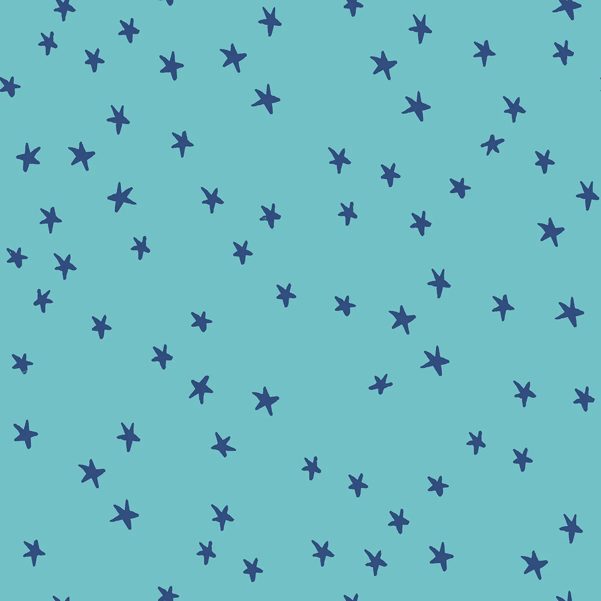Starry- Turquoise- RS410943