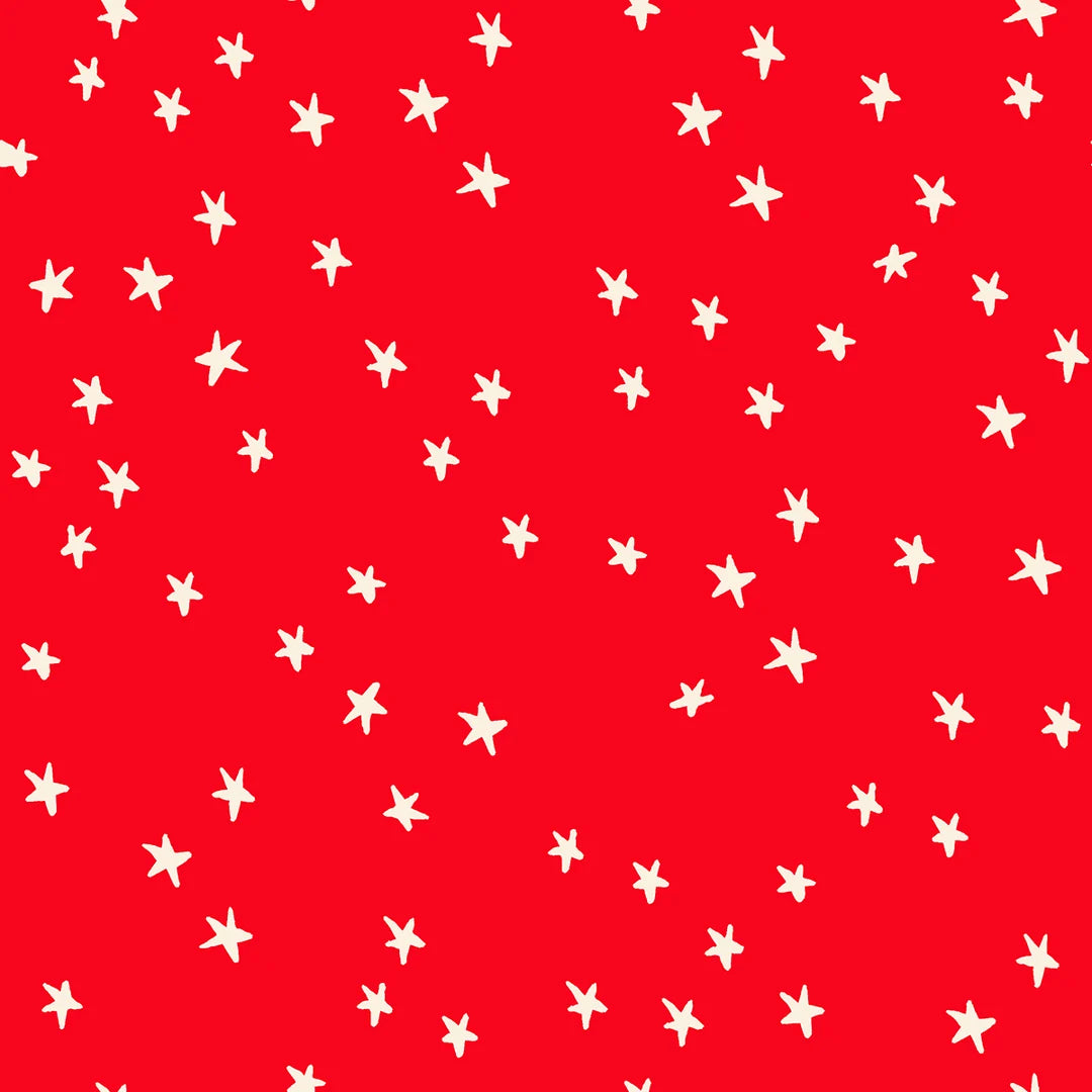 Starry- Ladybug - RS410974