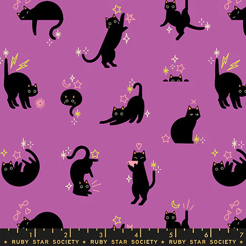 Freaky Familiars - Cat Walk - Witchy