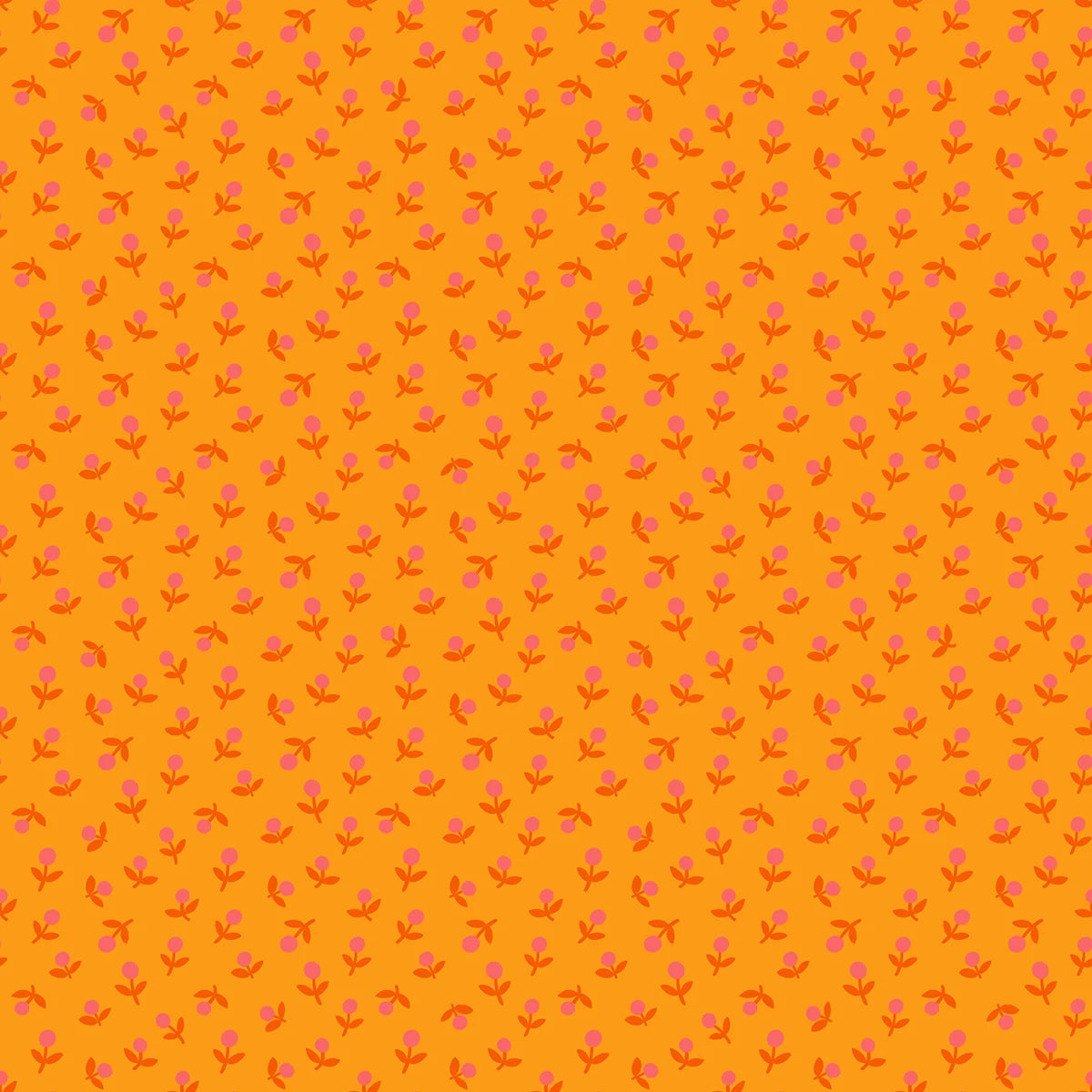 1-800-Calico - Sprout – Cheddar