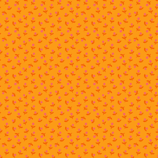 1-800-Calico - Sprout – Cheddar