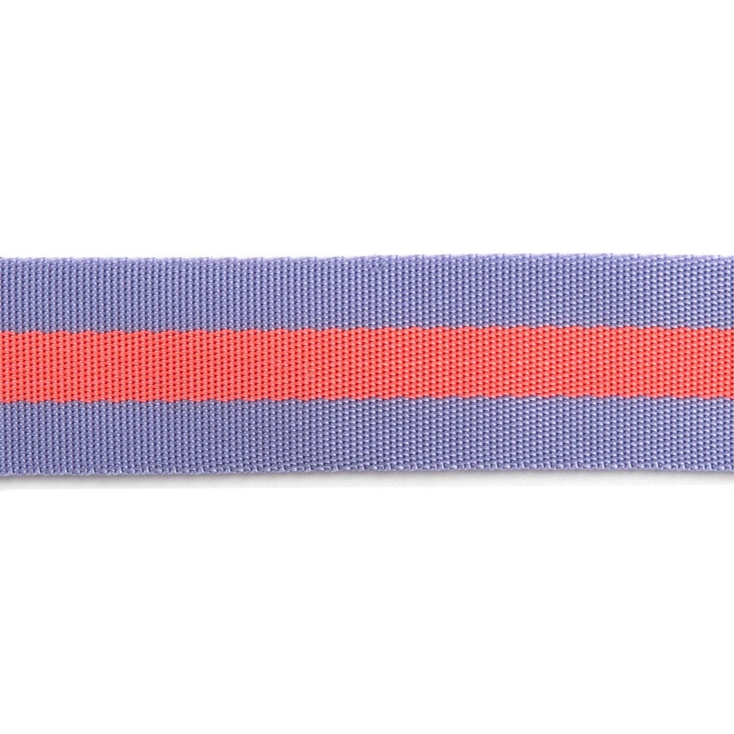 2yd Lavender and Pink - 1.5" Nylon Webbing - by Tula Pink