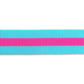 2yd Aqua and Hot Pink - 1.5" Nylon Webbing