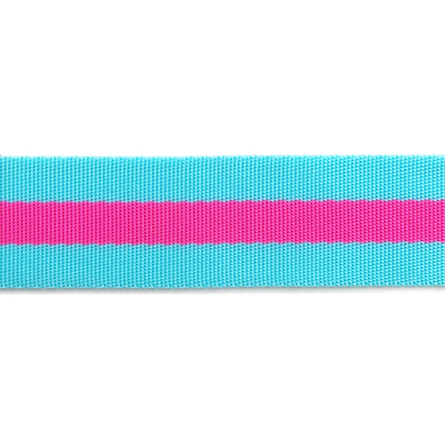 2yd Aqua and Hot Pink - 1.5" Nylon Webbing