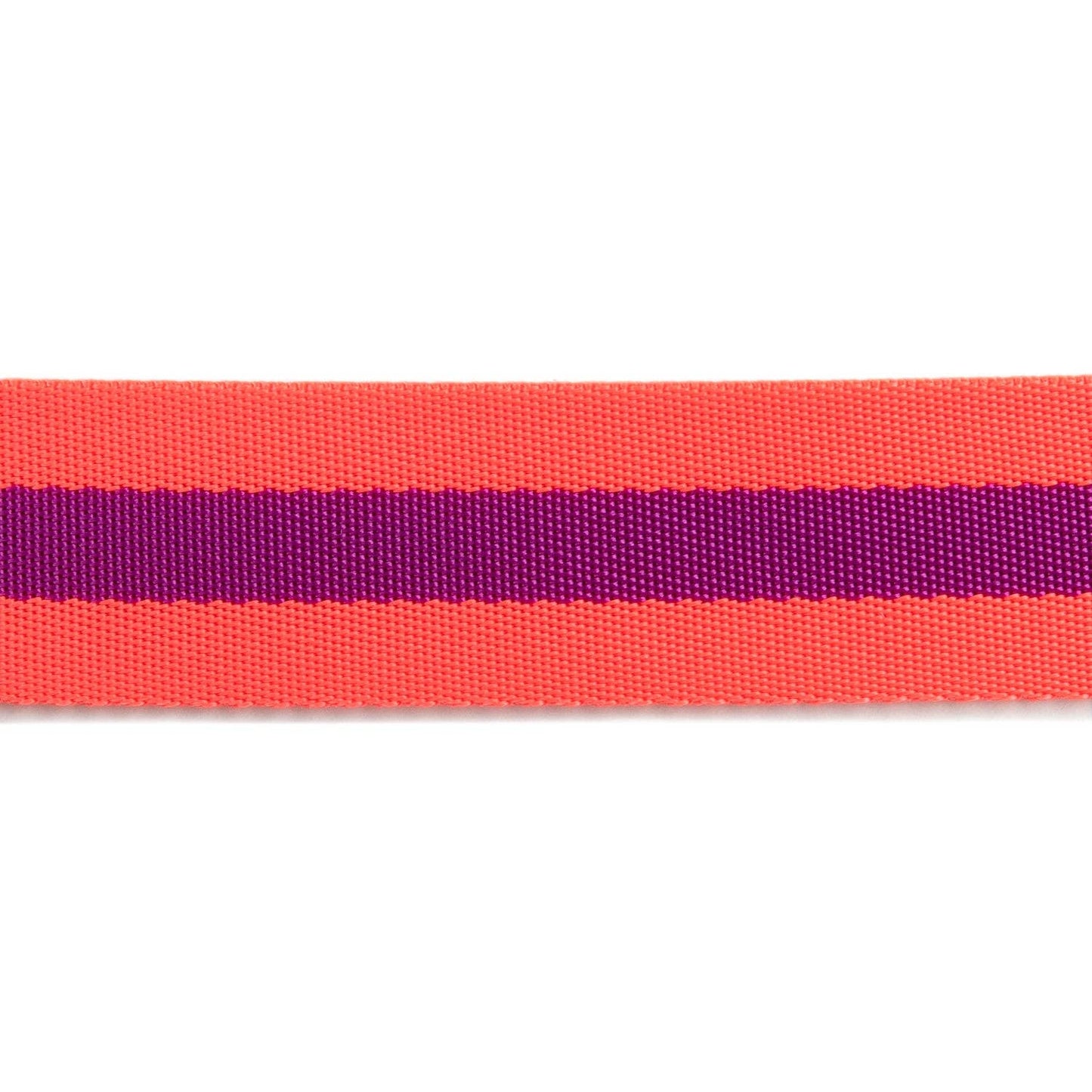 2yd Watermelon and Plum - 1.5" Nylon Webbing - by Tula Pink