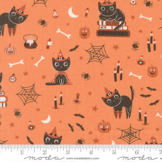 Purrs and Boos - Pumpkin