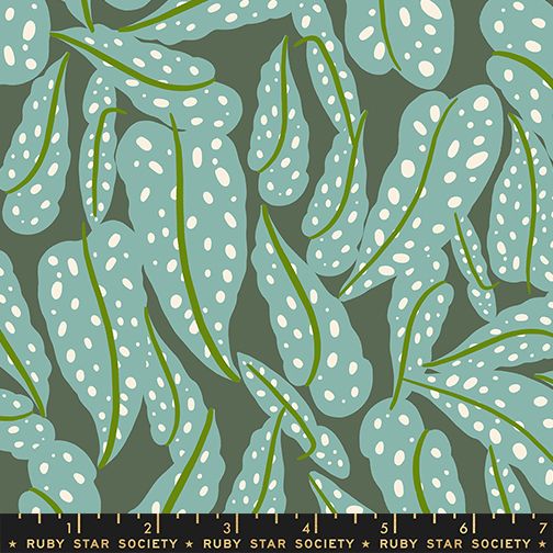Calathea - Overlapping Leaves - Seaweed