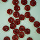 Amber 3/4" Corozo Nut Buttons