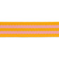 2yd Pink/Orange - 1" Nylon Webbing - by Tula Pink
