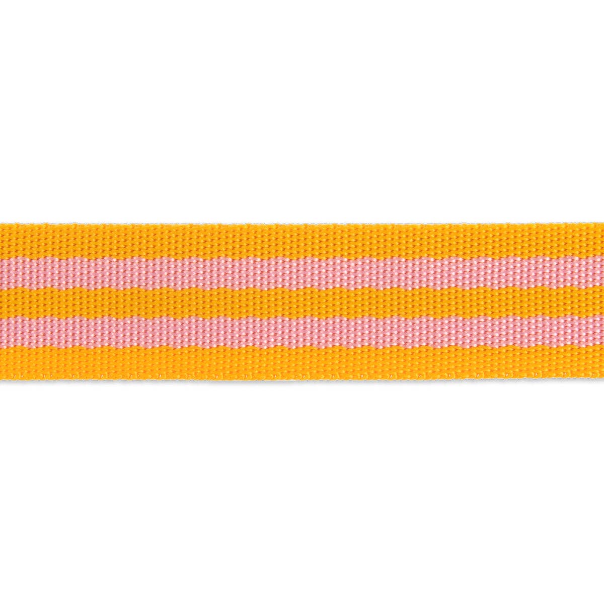 2yd Pink/Orange - 1" Nylon Webbing - by Tula Pink