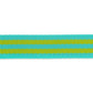 2yd Lime/Turquoise - 1" Nylon Webbing - by Tula Pink