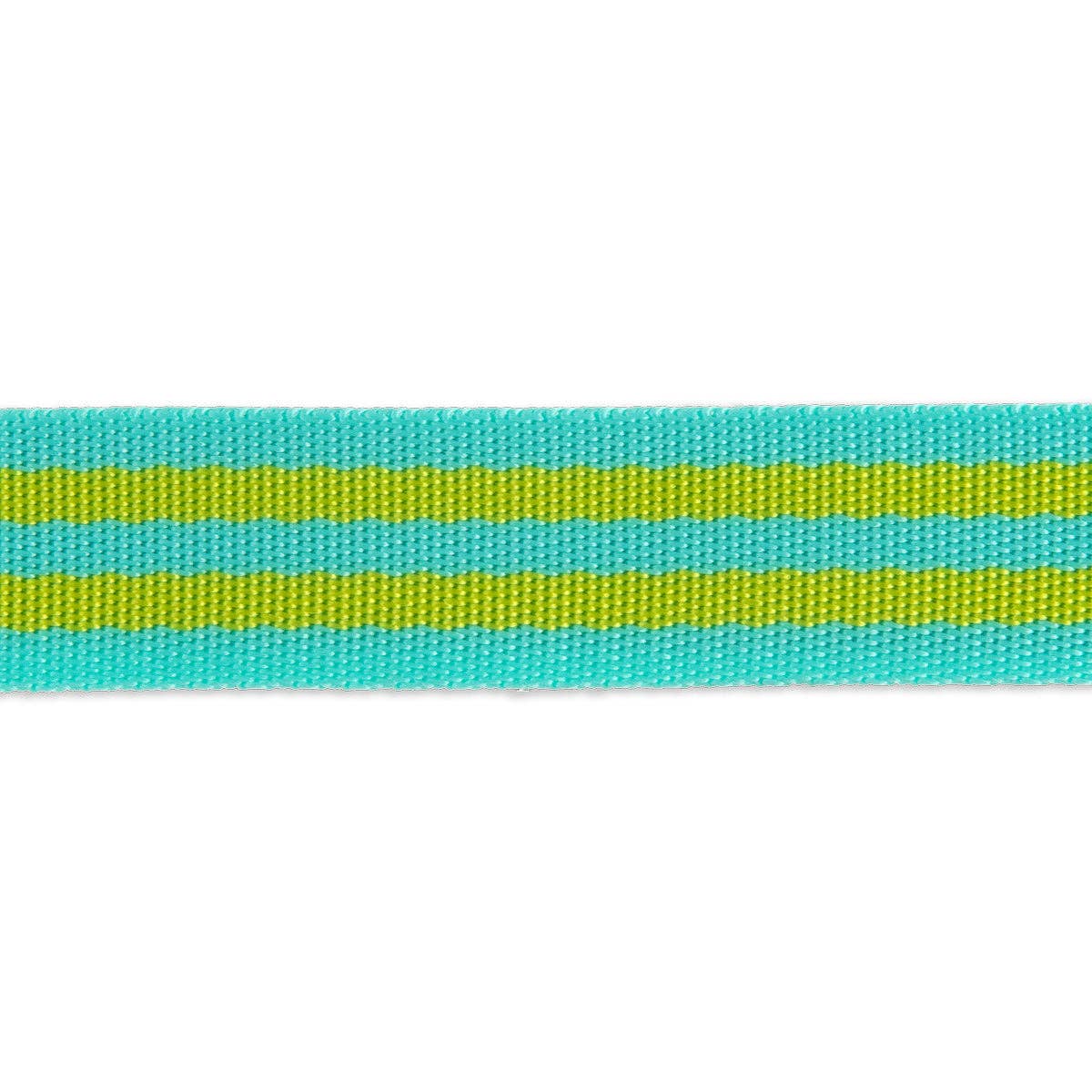 2yd Lime/Turquoise - 1" Nylon Webbing - by Tula Pink