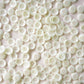 Milk 1/2" Corozo Nut Buttons